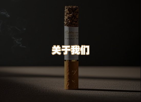 关于云歌烟网